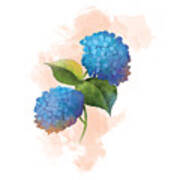 Blue Hydrangea Art Print