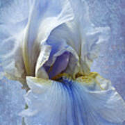 Blue Iris Fog Art Print