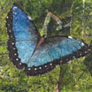Blue Morpho Butterfly Batik Art Print