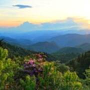 Blue Ridge Parkway And Rhododendron Art Print