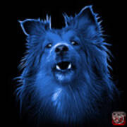 Blue Sheltie Dog Art 0207 - Bb Art Print