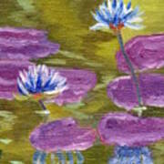 Blue Water Lilies Art Print