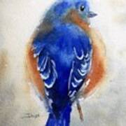 Bluebird #1 Art Print