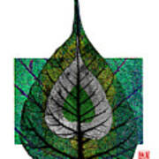 Bodhi Leaf Art Print