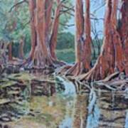 Boerne River Scene Art Print