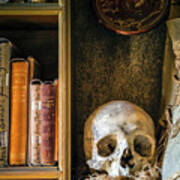 Bookcase Skull Art Print