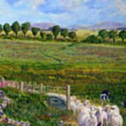 Border Collie Dogs Driving Sheep Through Welsh Farmland Gate Art Print