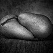 Bosc Pears In Black And White Art Print