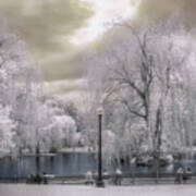 Boston Public Garden In Infrared Art Print