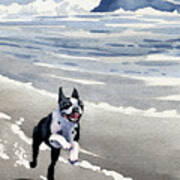 Boston Terrier At The Beach Art Print