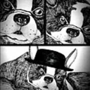 Boston Terrier Collage Art Print