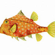 Boxfish Art Print