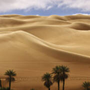 Breathtaking Sand Dunes Art Print
