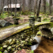 Bridge Through The Woods Art Print