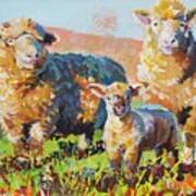 Bright Sheep And Lamb Painting Art Print