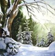 Bright Winter Sun Art Print
