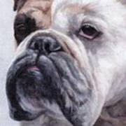 British Bulldog Painting Art Print