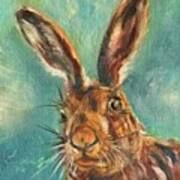 Brown Hare Art Print