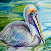 Brown Pelican Of Louisiana Art Print