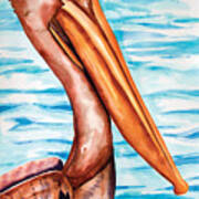 Brown Pelican Portrait Art Print