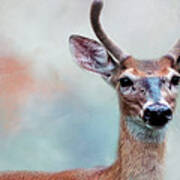 Buck Deer Portrait Art Print