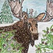 Bull Moose In The Wilderness Art Print