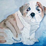 Bulldog Puppy Art Print