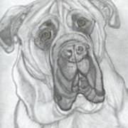 Bullmastiff Art Print