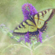 Butterfly Fantasy Art Print