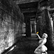 Butterfly In The Catacombs  Selective Color Art Print