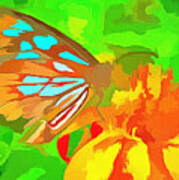 Butterfly On Flower Art Print