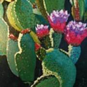Cactus Flower Art Print