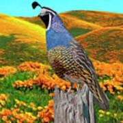 California State Bird And Flower Art Print