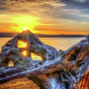 Camano Sunrise Art Print