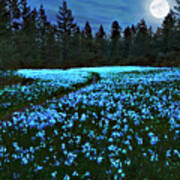 Camas Lilies In Moonlight Art Print