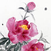 Camellia / Tsubaki Art Print