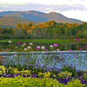 Campton Pond Campton New Hampshire Art Print