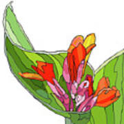 Canna Bud Art Print