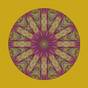 Canna Leaf - Mandala - Transparent Art Print