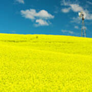 Canola Field Palouse Art Print