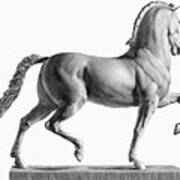 Canova: Horse Art Print