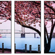Cape Fear River Bridge Triptych Art Print