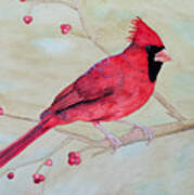 Cardinal Ii Art Print