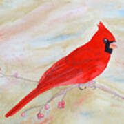 Cardinal Watching Art Print