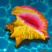 Caribbean Conch Art Print