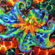 Caribbean Octopus On Stone Bottom Art Print