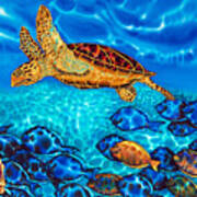 Caribbean Sea  Turtle And Reef  Fish Art Print
