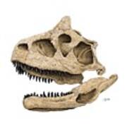 Carnotaurus Skull Art Print