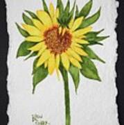 Carol's Sunflower Art Print