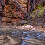 Cascades In The Narrows Of Zion Art Print